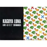 Kaguya Luna - Stationery - Plastic Folder - VTuber