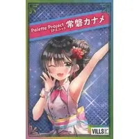 Tokiwa Kaname - Character Card - VTuber