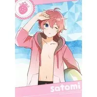 Satomi - Character Card - Strawberry Prince