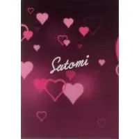 Satomi - Stationery - Plastic Folder - Strawberry Prince