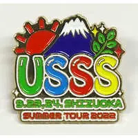 UraShimaSakataSen (USSS) - Badge