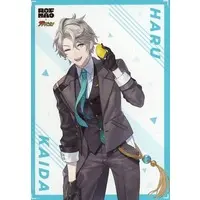 Kaida Haru - Character Card - ROF-MAO