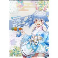 Usada Pekora - Tapestry - hololive