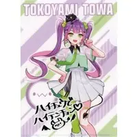 Tokoyami Towa - Stationery - Plastic Folder - hololive