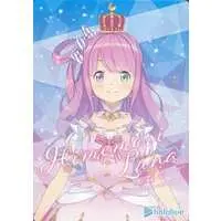 Himemori Luna - Character Card - hololive