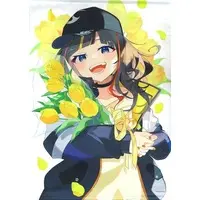 Hayase Sou - Badge - Tapestry - Acrylic Art Plate - Birthday Merch Complete Set - Nijisanji