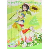 Oozora Subaru - Tapestry - hololive