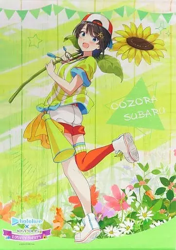 Oozora Subaru - Tapestry - hololive