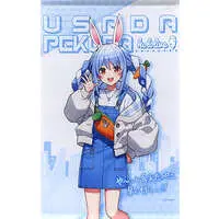 Usada Pekora - hololive Kuji holo-LIFE - Tapestry - hololive