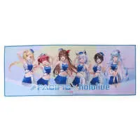 hololive - Towels