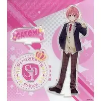 Satomi - Acrylic stand - Strawberry Prince