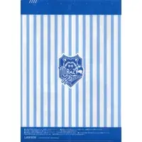 Crazy Raccoon - Stationery - Plastic Folder