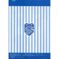 Crazy Raccoon - Stationery - Plastic Folder