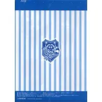 Crazy Raccoon - Stationery - Plastic Folder