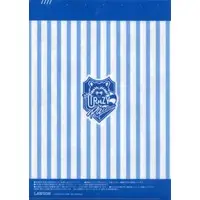 Crazy Raccoon - Stationery - Plastic Folder