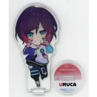 Uruca - Acrylic stand - Crazy Raccoon