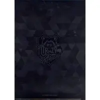 Uruca - DMM Scratch! - Stationery - Plastic Folder - Crazy Raccoon