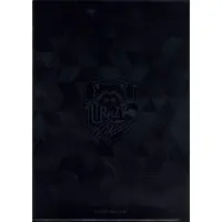 Arisakaaa - DMM Scratch! - Stationery - Plastic Folder - Crazy Raccoon