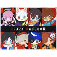 Crazy Raccoon - DMM Scratch! - Blanket