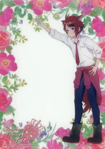 Rinu - Illustration Board - Strawberry Prince