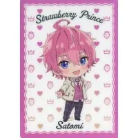 Satomi - Character Card - Strawberry Prince