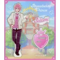 Satomi - Acrylic stand - Strawberry Prince