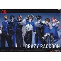 Crazy Raccoon - Stationery - Plastic Folder