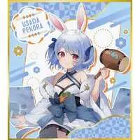 Usada Pekora - Illustration Board - Character Card - hololive