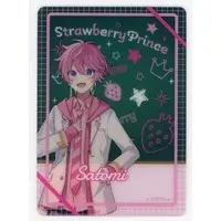 Satomi - Character Card - Strawberry Prince