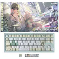 Hanabusa Lisa - Keyboard - VSPO!