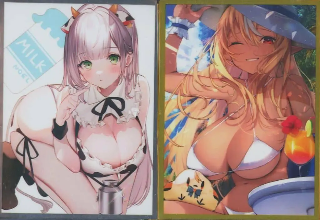 Shiranui Flare & Shirogane Noel - Card Sleeves - Trading Card Supplies - hololive