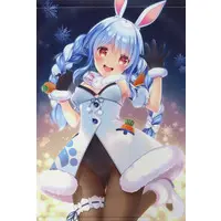 Usada Pekora - Tapestry - hololive