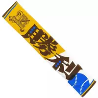 Ex Albio - NijiKoshien - Towels - Nijisanji