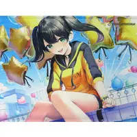 Hatsusegawa Misaki - Tapestry - RIOT MUSIC