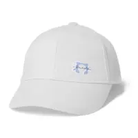VTuber - Cap