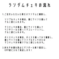 VTuber - Portrait (Random Item)