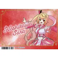 Hoshikawa Sara - Character Card - Nijisanji