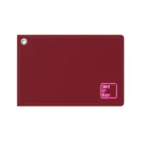 VTuber - Commuter pass case