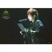 Uratanuki - Portrait - Utaite