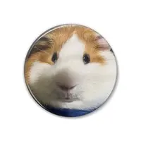 VTuber - Badge