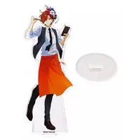 Arisakaaa - Acrylic stand - Crazy Raccoon
