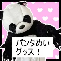 Kotubu Mei - Complete Set - VTuber