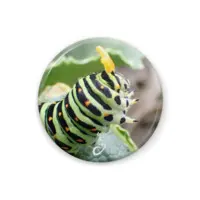 木守日あぐり - Badge - VTuber Size-32mm