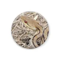 木守日あぐり - Badge - VTuber Size-32mm