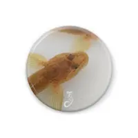 木守日あぐり - Badge - VTuber Size-32mm