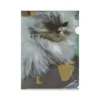 machida erika - Plastic Folder - VTuber