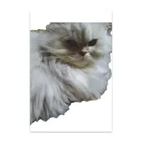 machida erika - Postcard - VTuber