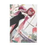 Himari Noa - Plastic Folder - VTuber