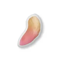 狸田望未 - Cushion - VTuber