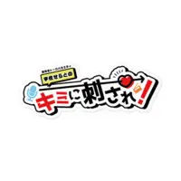 Usa Serato - Stickers - VTuber Size-100 x 100 (mm)